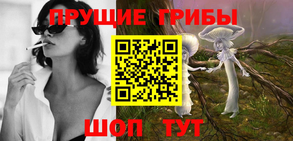 купить  сайты  Псилоцибиновые грибы Cubensis  Галлюциногенные грибы GOLDEN TEACHER  Вход с VPN  Бор 